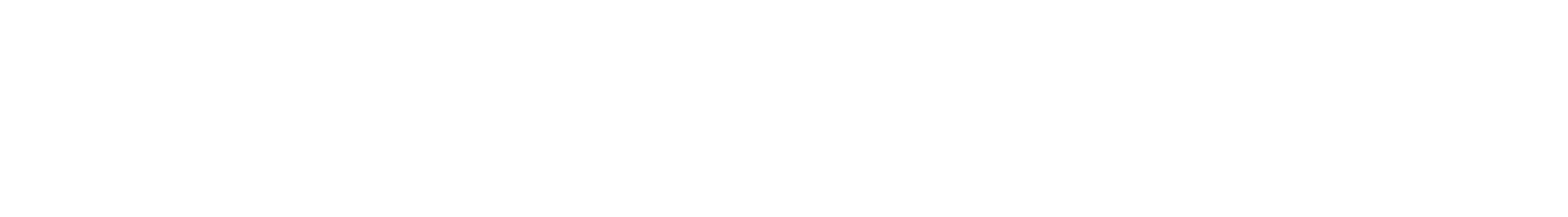 The Guitar Mint